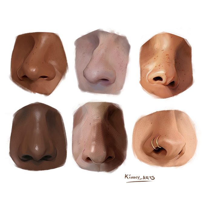 Nose study